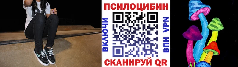 даркнет сайт  Новочеркасск  Галлюциногенные грибы Psilocybine cubensis 