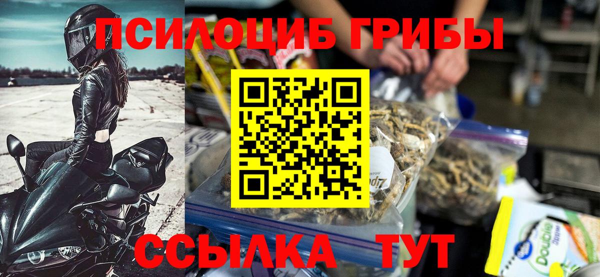 Галлюциногенные грибы GOLDEN TEACHER Новочеркасск