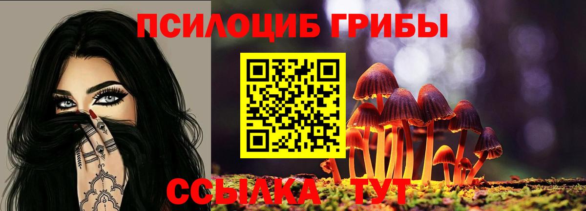 Псилоцибиновые грибы мицелий  Псилоцибиновые грибы мицелий  Вход с VPN  Новочеркасск 