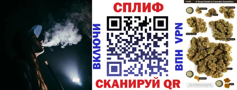 как найти наркотики  МЕГА ONION  Каннабис ГИДРОПОН  Новочеркасск 